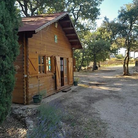 La Cabane En Bois Tourves Dış mekan fotoğraf