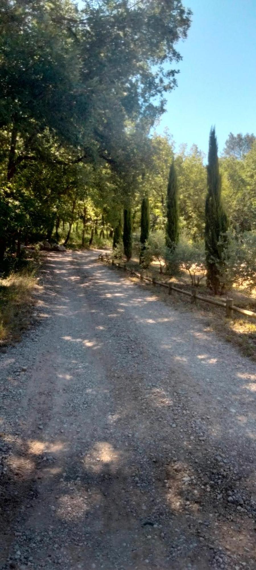 La Cabane En Bois Tourves Dış mekan fotoğraf