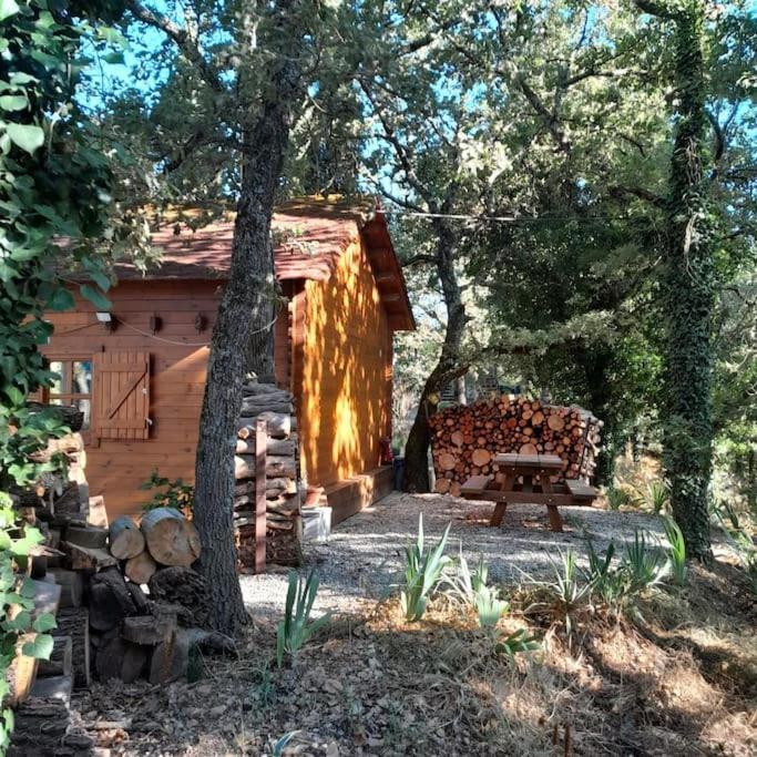 La Cabane En Bois Tourves Dış mekan fotoğraf